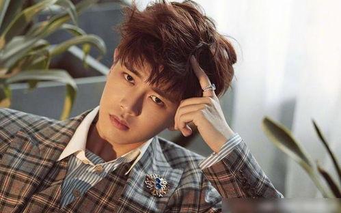 娱乐吃瓜酱任嘉伦,娱乐吃瓜酱的甜蜜瓜田之旅